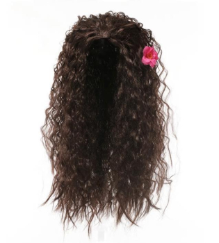 Perfekte Prinzessinnenperücken für Elsa, Anna, Rapunzel, Vaiana, Jasmin, Mirabel, Isabella, Belle