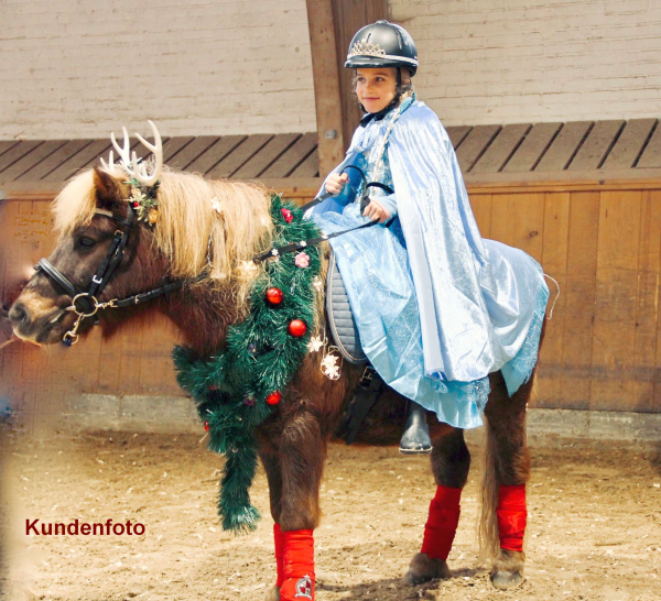 Von Elsa inspiriert: Prächtiges Eisköniginnenkleid - Glitzertraum mit Schleppe